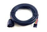 Wideband o2 Sensor to Box Wiring Harness on Sale