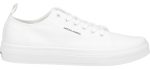 Jack & Jones Bayswater Mens Lace Up Canvas Trainer Online